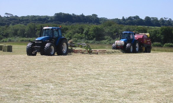 tractors in a field
